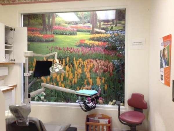 加州牙科─顧翠玉牙醫師 图片 2