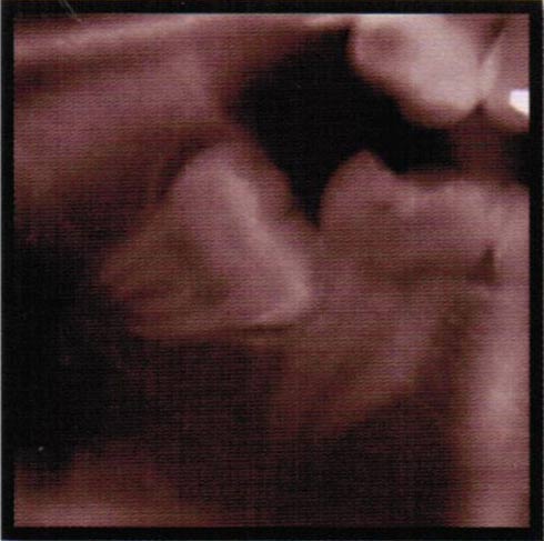 黃子律牙醫博士 图片 8