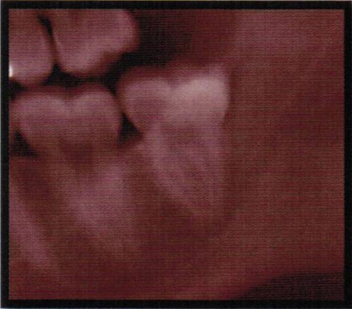 黃子律牙醫博士 图片 2