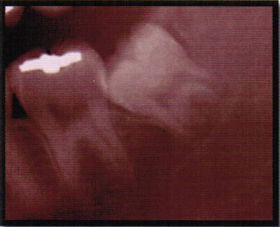 黃子律牙醫博士 图片 3