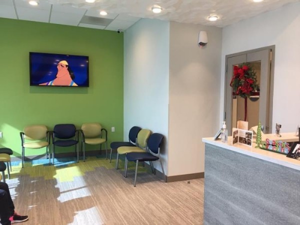 蘇成山牙醫專科博士 photo 5