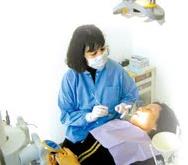 楊蘭牙科中心 图片 1