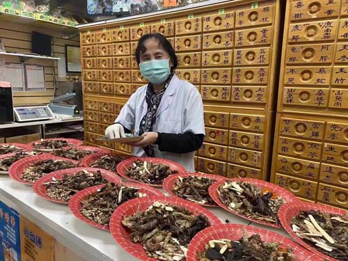 爾灣向陽中醫藥中心─針灸診療所 图片 4