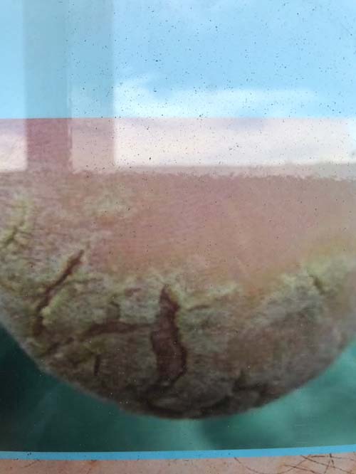 灰指甲手足癬專科診所 图片 3