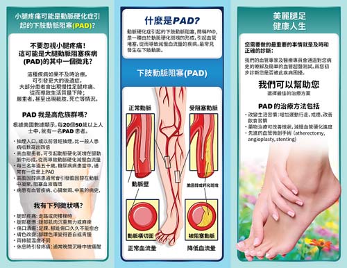 石未冬醫師─專業靜脈及動脈血管微創手術治療中心 图片 3