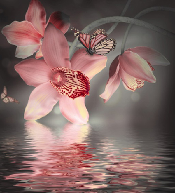 聖光醫美 图片 8