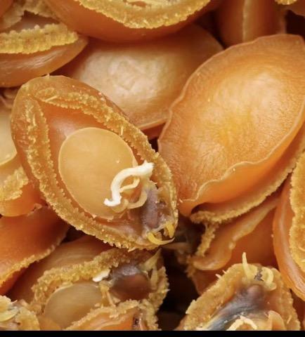 康利海味參茸行 图片 2