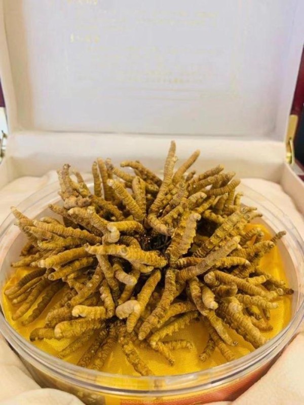 康利海味參茸行 图片 6