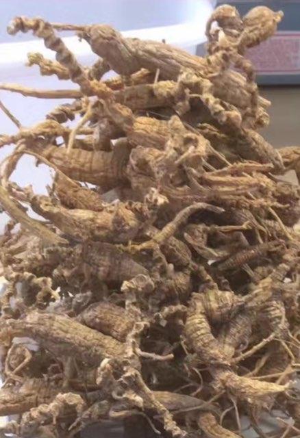 康利海味參茸行 图片 8