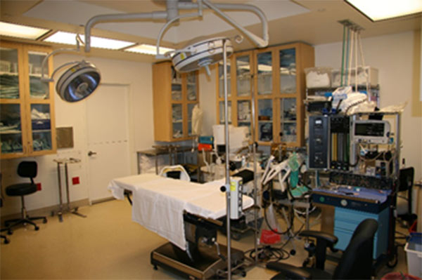 IVF試管嬰兒中心─郭大慶醫學雙認證雙博士醫生 图片 6