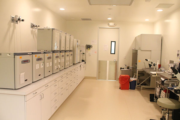 生命試管嬰兒中心─葉練醫師 图片 9