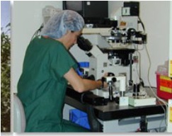 南加州生殖醫學中心 图片 2