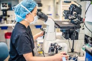 美國西海岸生殖醫療中心 图片 4