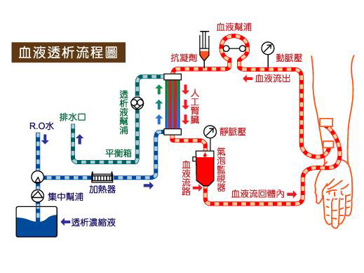 常新洗腎中心 图片 2