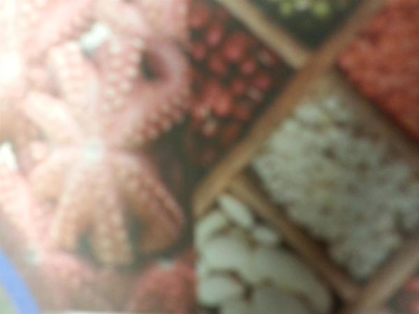 美國鴻昌國際公司 photo 2