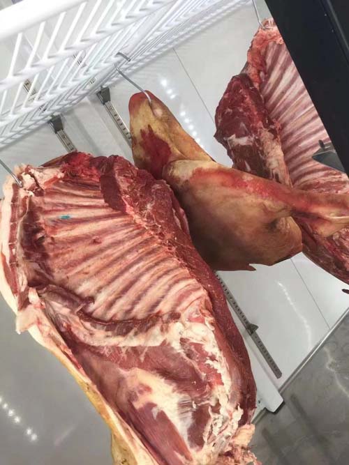 羊肉大全 图片 1