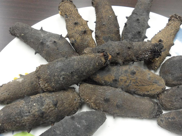 玄瀝海產批發公司 图片 7