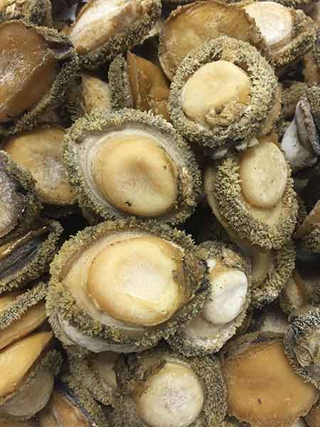 玄瀝海產批發公司 图片 8