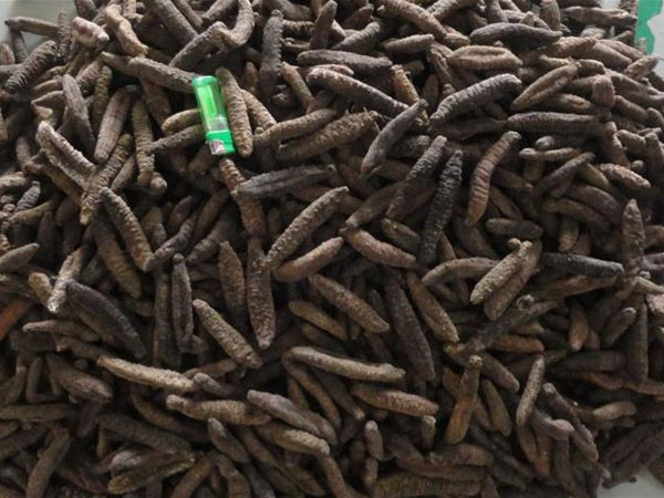 玄瀝海產批發公司 图片 4