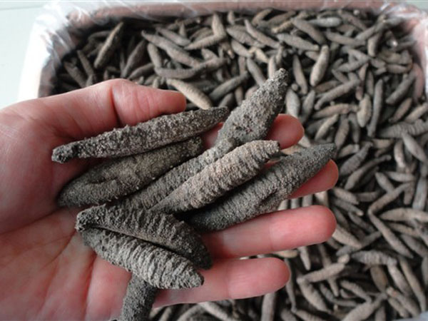 玄瀝海產批發公司 图片 2