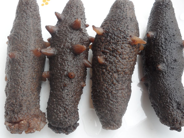 玄瀝海產批發公司 图片 5