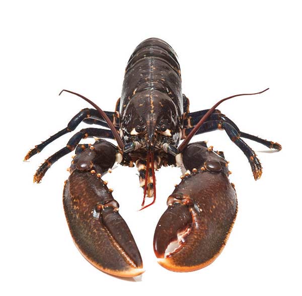 長城海鮮公司 图片 4