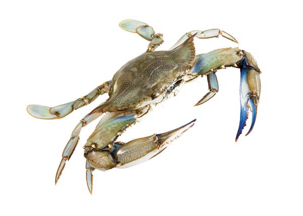 長城海鮮公司 图片 7