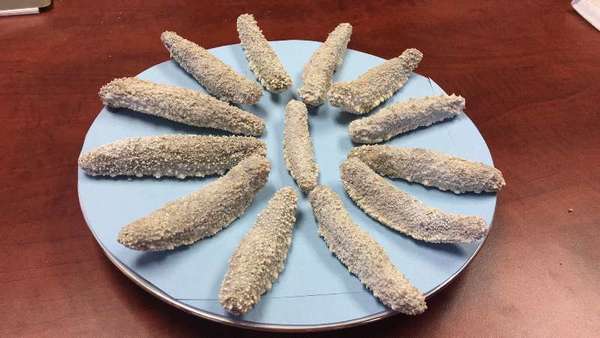 加州海參加工廠 图片 6