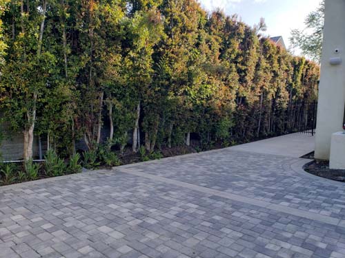 全美造景庭園設計 图片 3