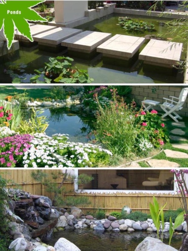 旭日園藝公司 图片 2