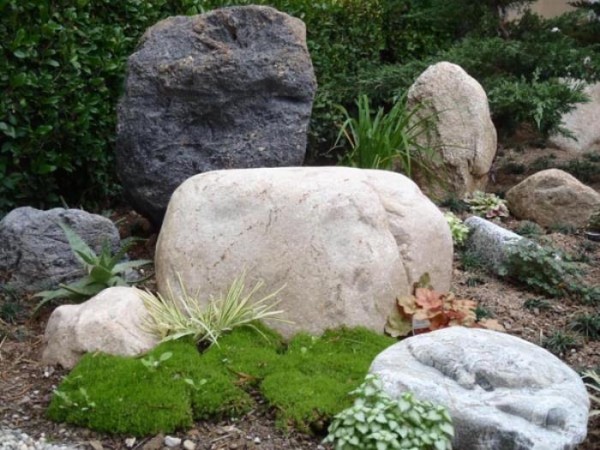 旭日園藝公司 图片 1