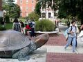 马里兰大学 - University of Maryland in College Park 图片 10