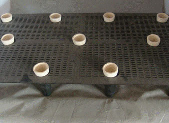 大森花圃 图片 3