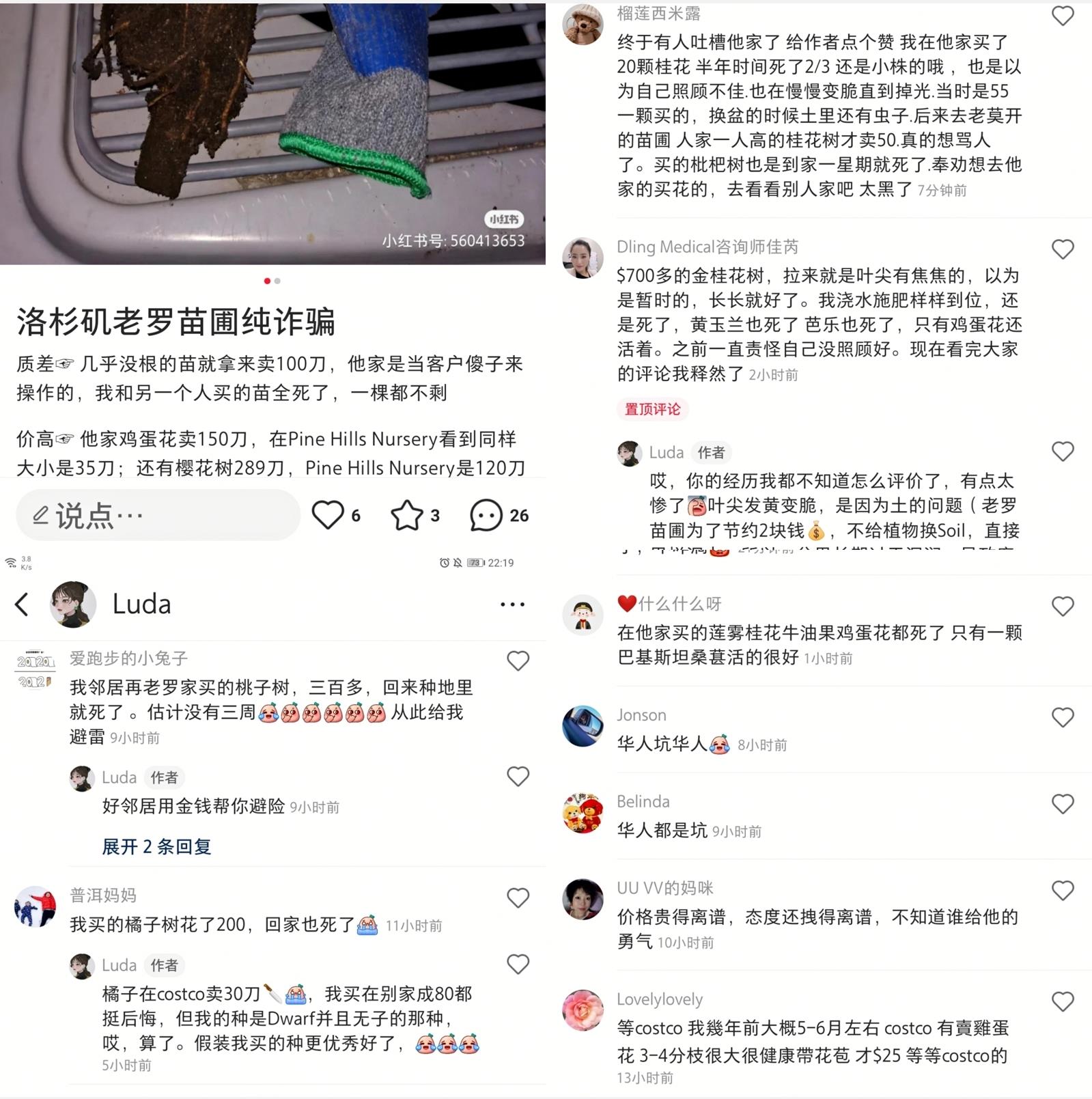 老羅苗圃 图片 4