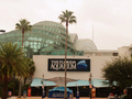 佛州水族馆 - The Florida Aquarium 图片 1