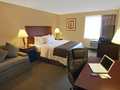 Best Western Mccarran Inn 图片 6