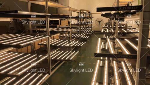 大麻種植燈 图片 6