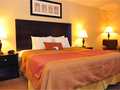 Best Western Plus Las Vegas West 图片 19