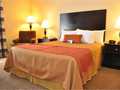 Best Western Plus Las Vegas West 图片 4