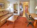 Holiday Inn Express Hotel & Suites Las Vegas 图片 13