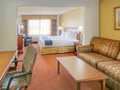 Holiday Inn Express Hotel & Suites Las Vegas 图片 15