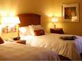 Hampton Inn Las Vegas-Tropicana 图片 14