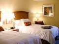 Hampton Inn Las Vegas-Tropicana 图片 6