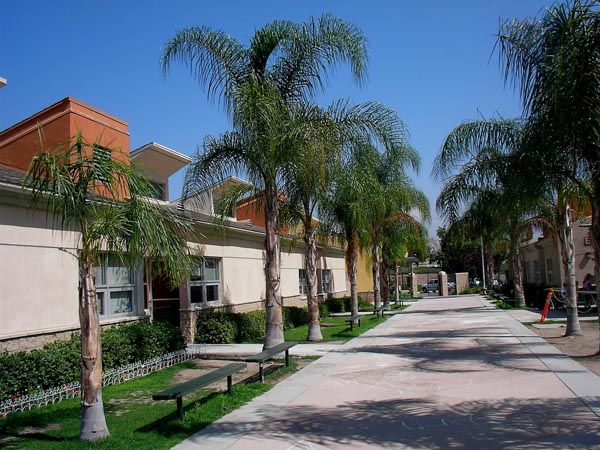 路德會仁愛救主教會─中文學校 图片 1