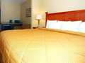 Comfort Inn And Suites 图片 19