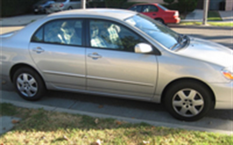 天仁駕駛學校 图片 5