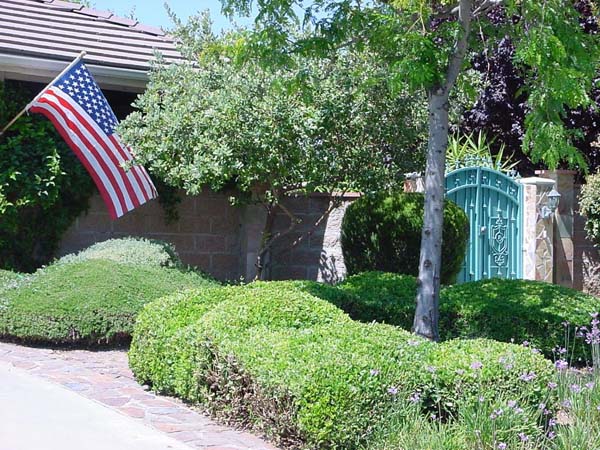 勵駿駕駛學校 photo 2