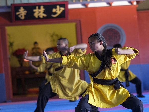 美國少林寺文化中心 photo 7