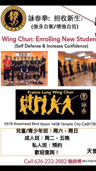 天普龍氏詠春拳 photo 1