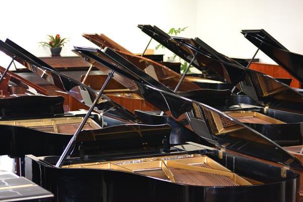 德國鋼琴城 图片 3